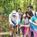 Los Haitises Boat Private trip – From Punta Cana — Guided tour and outdoor activity